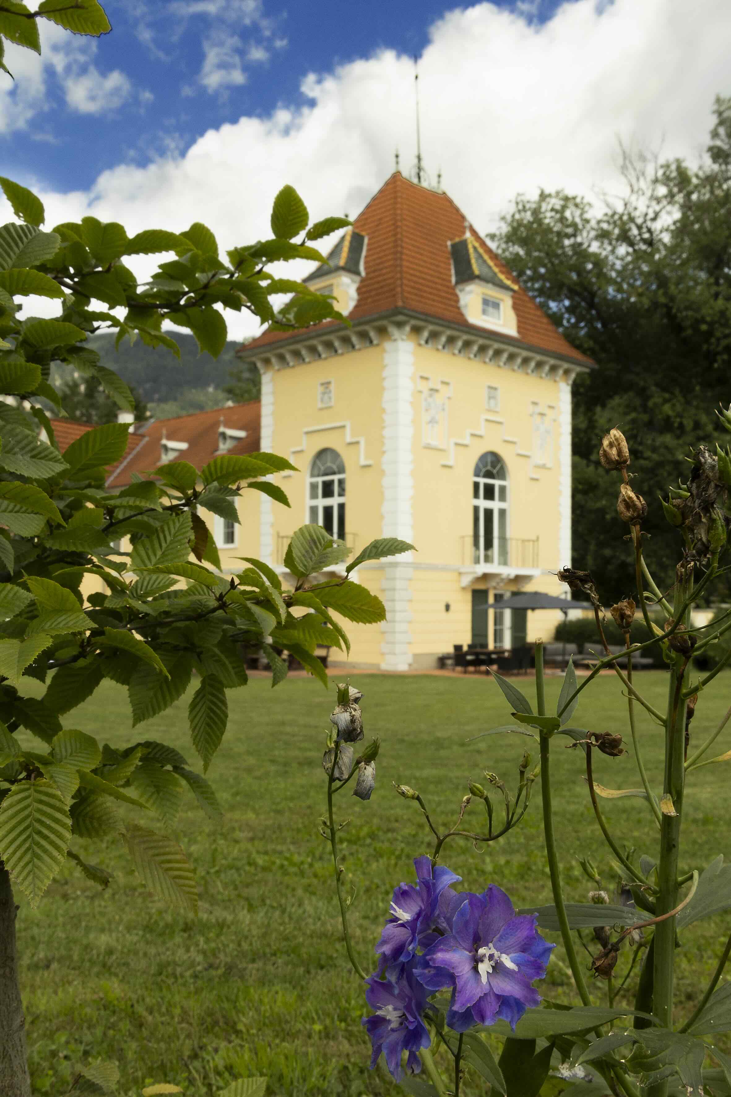 Der Garten – Freie Trauung unter alten Bäumen